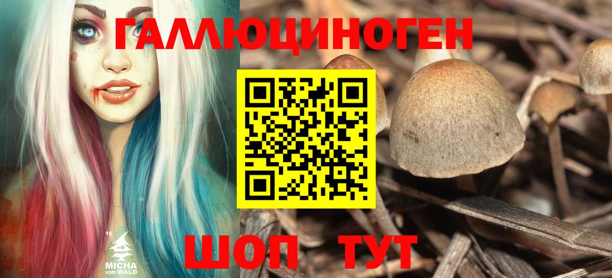 Псилоцибиновые грибы мицелий  Вход с VPN  Абакан  Галлюциногенные грибы ЛСД 